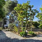 L\'Oasi Del Fenicottero Rosa