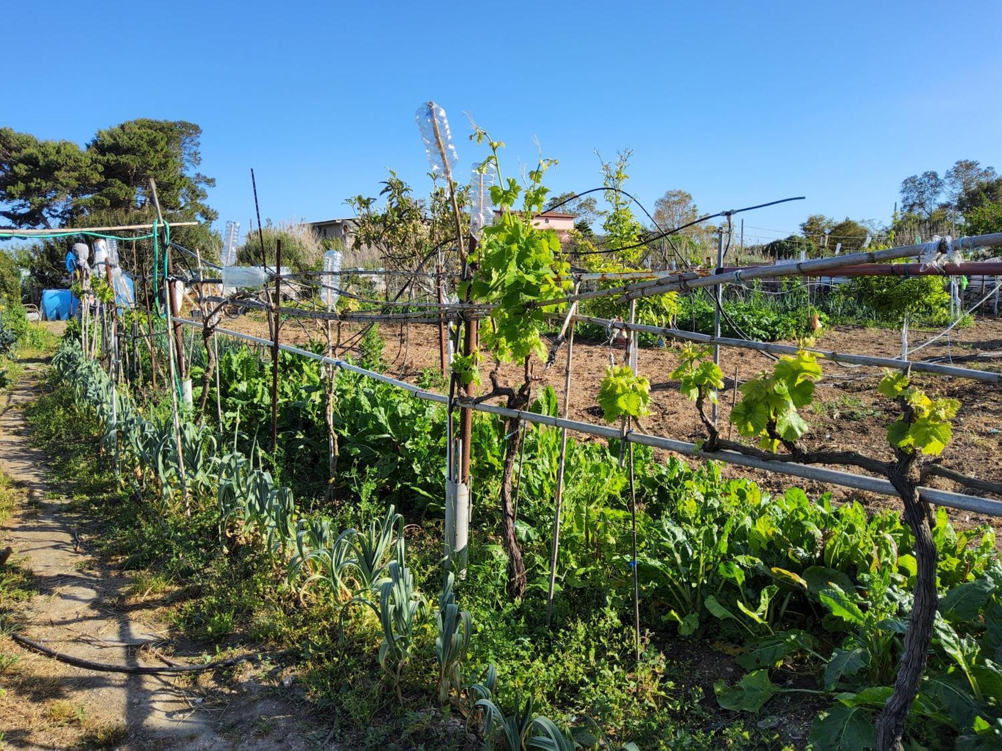L'oasi Del Fenicottero Rosa Cagliari
