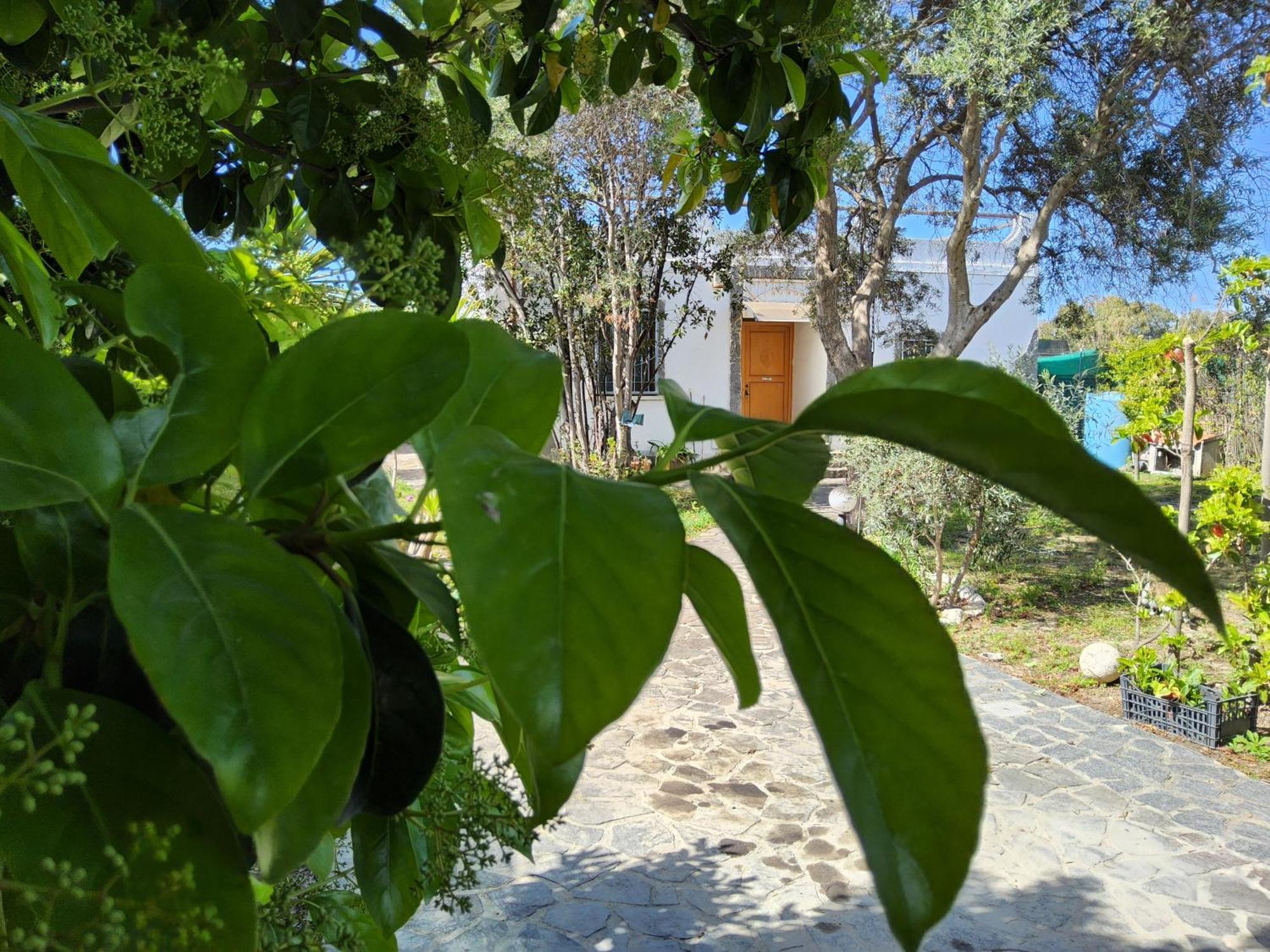 Hébergement de vacances L'oasi Del Fenicottero Rosa *