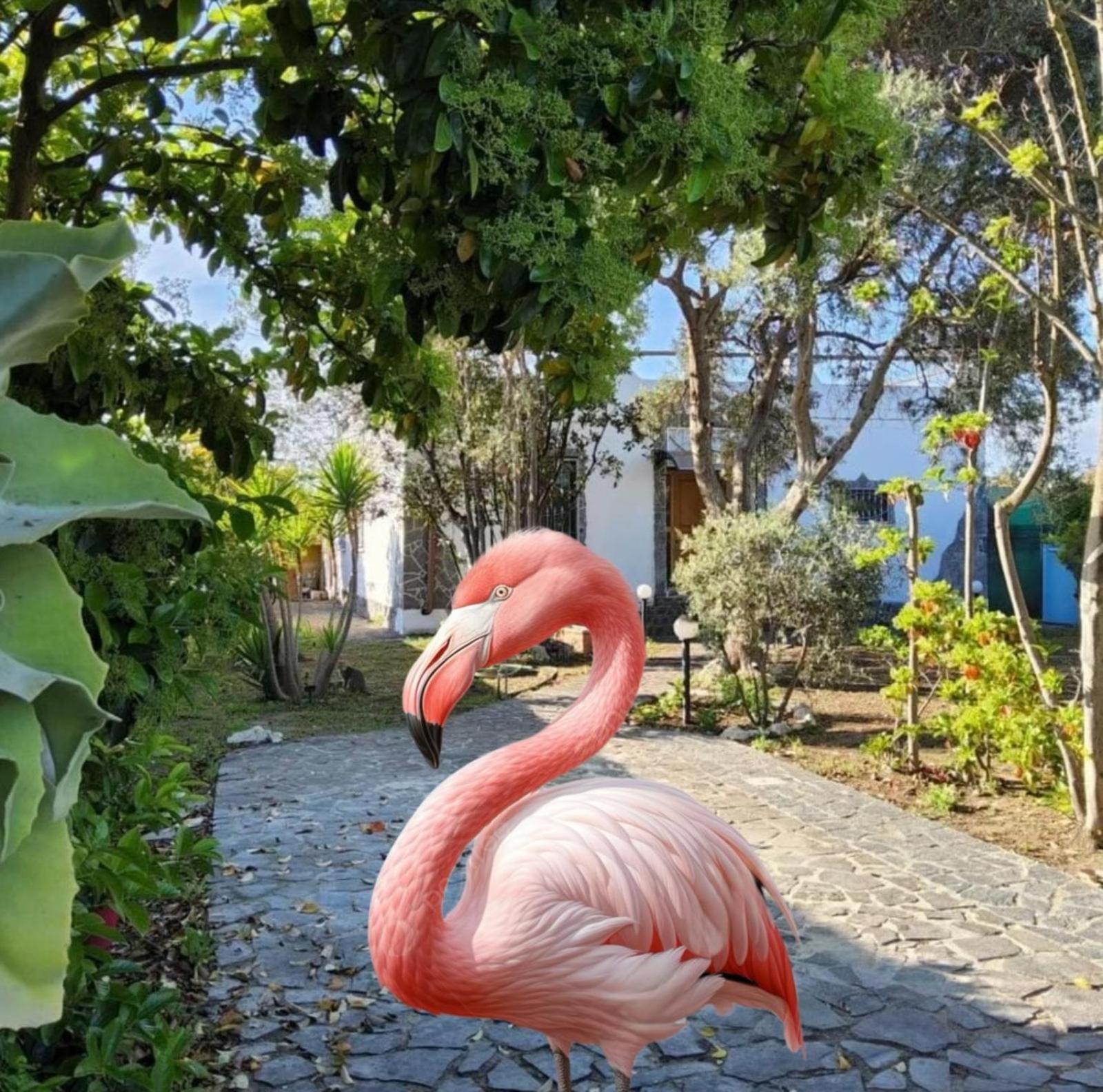 L'oasi Del Fenicottero Rosa Hébergement de vacances *