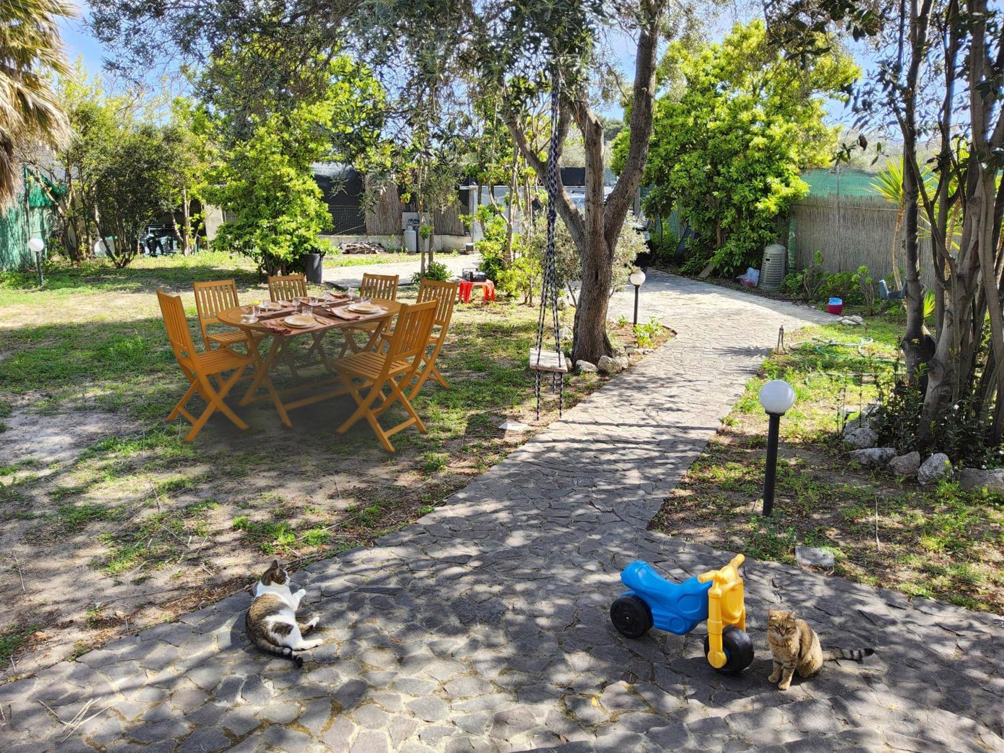 L'oasi Del Fenicottero Rosa Hébergement de vacances